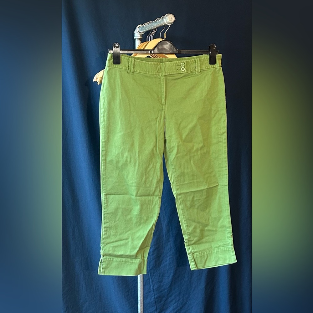 LOFT Pants (Size 8)